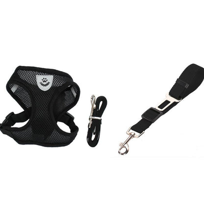 Car Seat Belt or Leash for Pet - BEUPFORLIFE.com