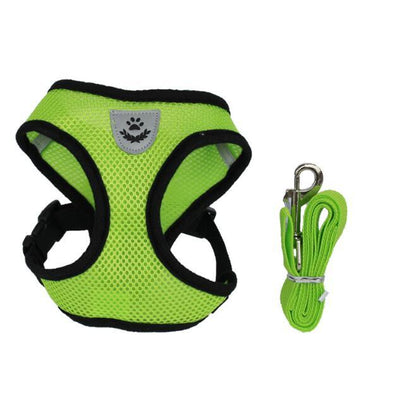 Car Seat Belt or Leash for Pet - BEUPFORLIFE.com