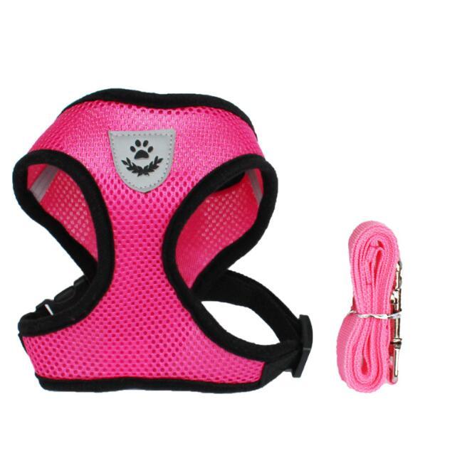 Car Seat Belt or Leash for Pet - BEUPFORLIFE.com