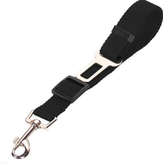 Car Seat Belt or Leash for Pet - BEUPFORLIFE.com