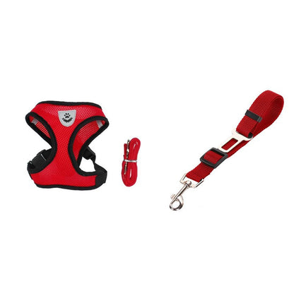 Car Seat Belt or Leash for Pet - BEUPFORLIFE.com