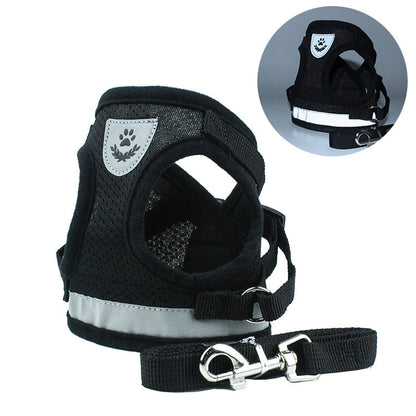 Car Seat Belt or Leash for Pet - BEUPFORLIFE.com