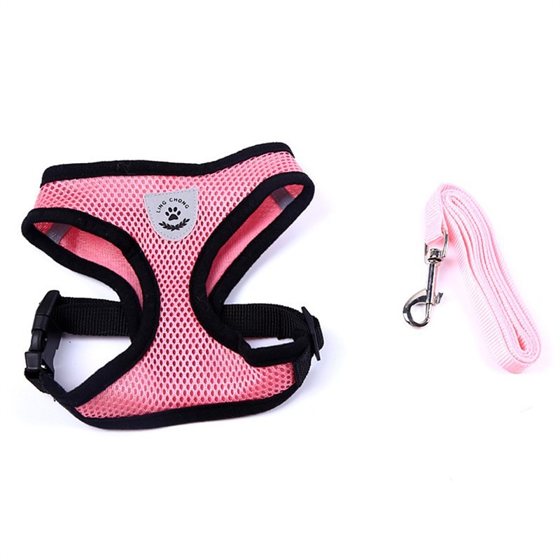 Car Seat Belt or Leash for Pet - BEUPFORLIFE.com