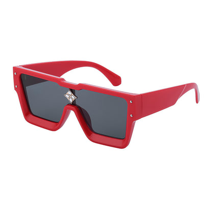 Large Frame Sunglasses