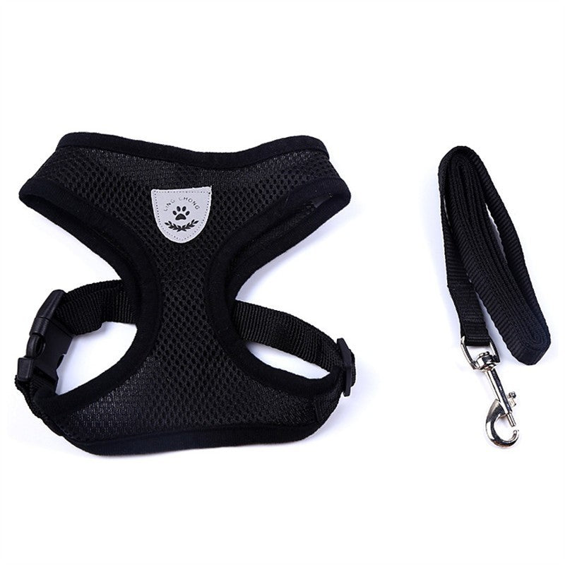 Car Seat Belt or Leash for Pet - BEUPFORLIFE.com