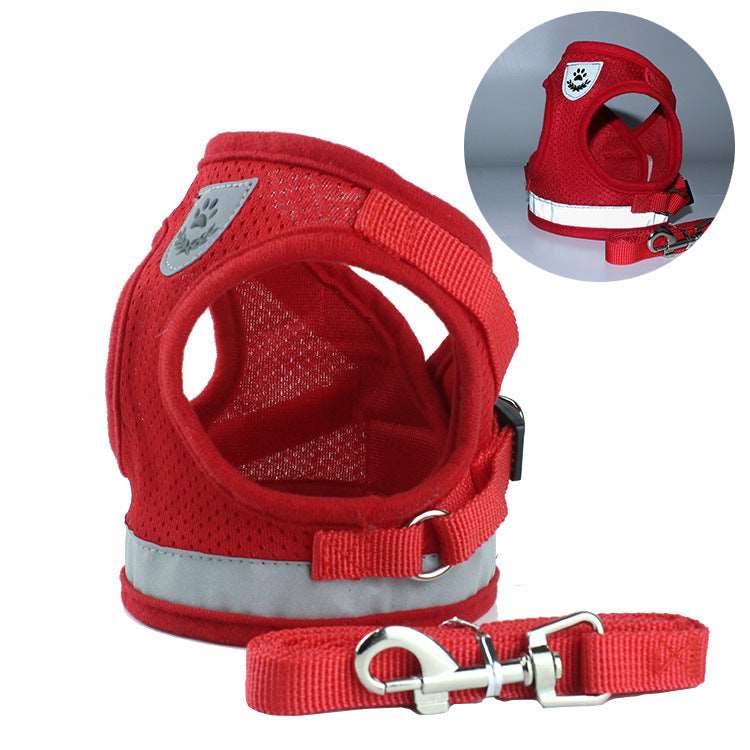 Car Seat Belt or Leash for Pet