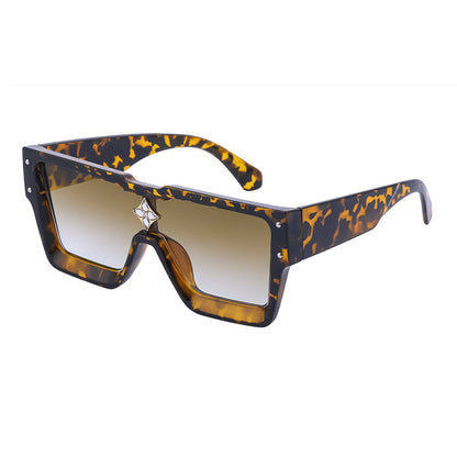 Large Frame Sunglasses