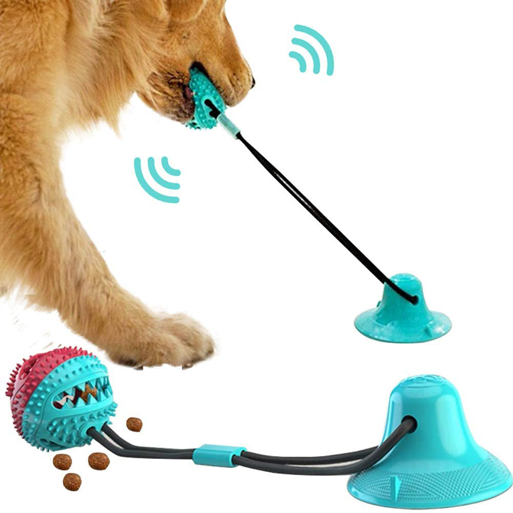 Interactive Silicon Suction Cup Tug Dog Ball Toy Be Up For Life