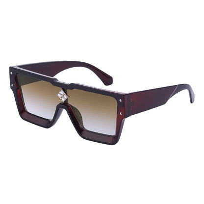 Large Frame Sunglasses